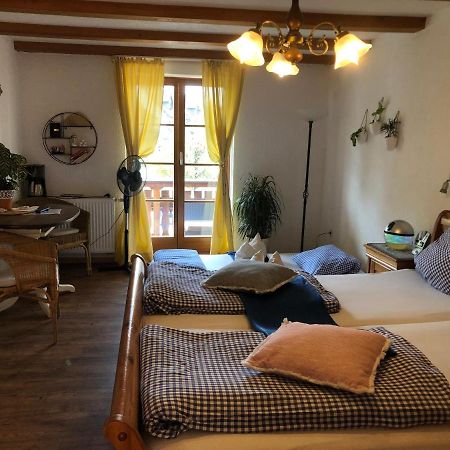 Ferienwohnung Sonne Schliengen Extérieur photo