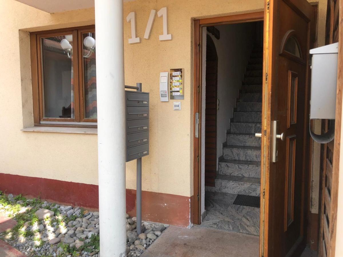 Ferienwohnung Sonne Schliengen Extérieur photo